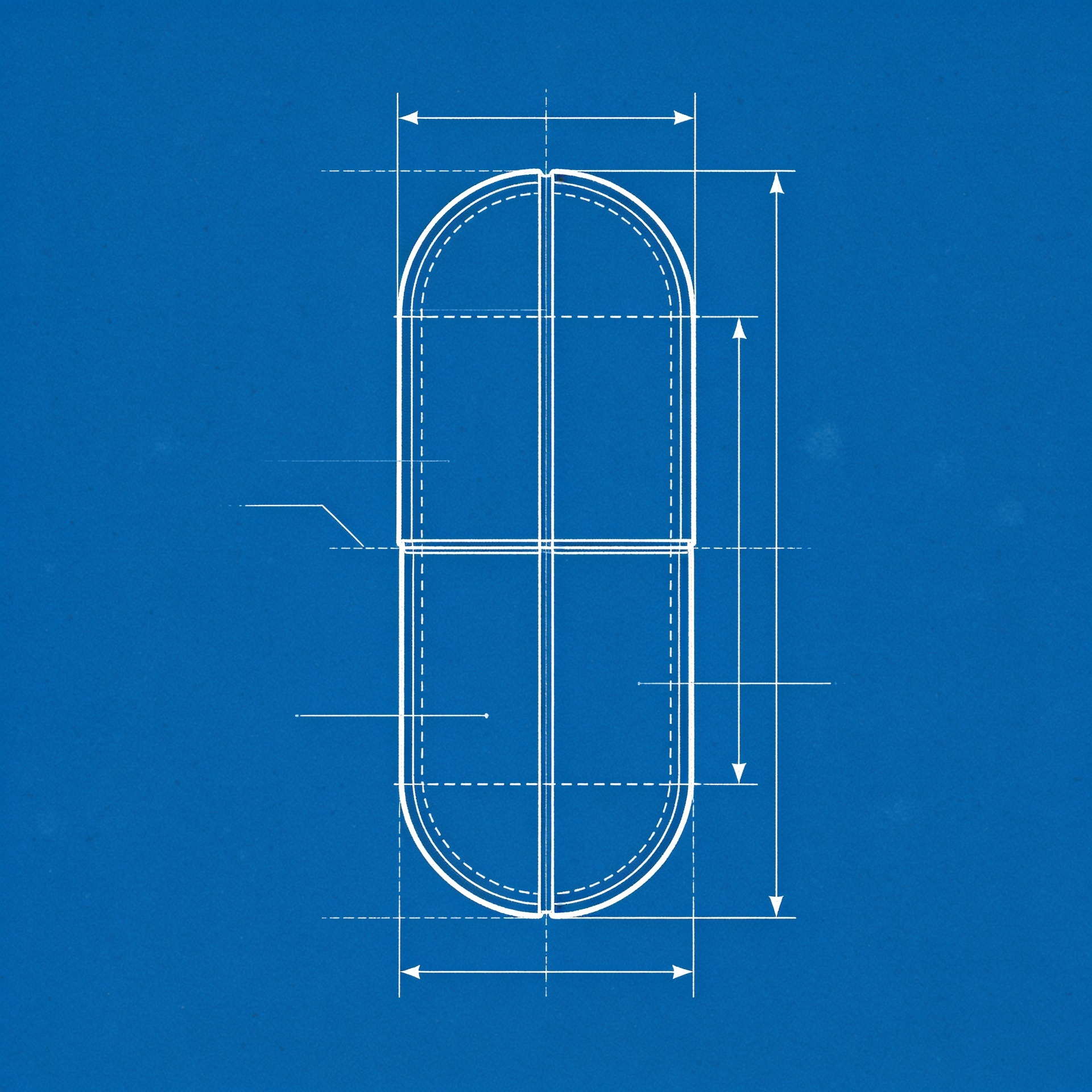 Capsule cross-section schematic